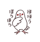 白マメインコのまったりライフ（個別スタンプ：1）
