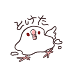 白マメインコのまったりライフ（個別スタンプ：3）