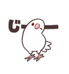 白マメインコのまったりライフ（個別スタンプ：8）