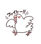 白マメインコのまったりライフ（個別スタンプ：16）