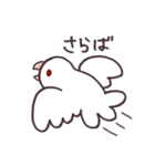 白マメインコのまったりライフ（個別スタンプ：17）