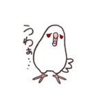 白マメインコのまったりライフ（個別スタンプ：26）