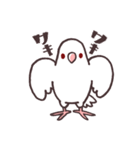 白マメインコのまったりライフ（個別スタンプ：28）