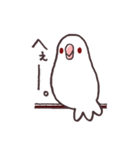 白マメインコのまったりライフ（個別スタンプ：35）