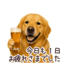 ゴールデンレトリバー☆毎日使う日常会話（個別スタンプ：7）