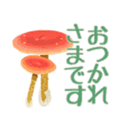 キノコスタンプ（タマゴタケ時々毒キノコ）（個別スタンプ：11）