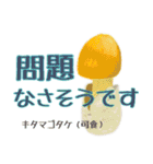 キノコスタンプ（タマゴタケ時々毒キノコ）（個別スタンプ：19）