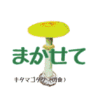 キノコスタンプ（タマゴタケ時々毒キノコ）（個別スタンプ：20）