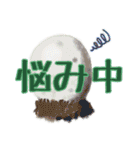 キノコスタンプ（タマゴタケ時々毒キノコ）（個別スタンプ：22）
