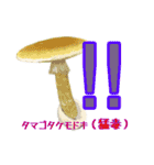キノコスタンプ（タマゴタケ時々毒キノコ）（個別スタンプ：25）