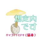 キノコスタンプ（タマゴタケ時々毒キノコ）（個別スタンプ：27）