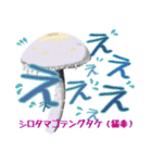 キノコスタンプ（タマゴタケ時々毒キノコ）（個別スタンプ：29）