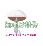 キノコスタンプ（タマゴタケ時々毒キノコ）（個別スタンプ：31）