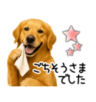 ゴールデンレトリバー☆毎日使える敬語集（個別スタンプ：19）