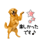 ゴールデンレトリバー☆毎日使える敬語集（個別スタンプ：25）