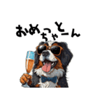 ロックで時々オネェなバーニーズ（個別スタンプ：11）