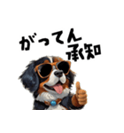 ロックで時々オネェなバーニーズ（個別スタンプ：16）