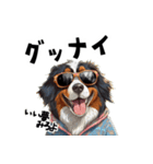 ロックで時々オネェなバーニーズ（個別スタンプ：19）