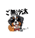 ロックで時々オネェなバーニーズ（個別スタンプ：22）