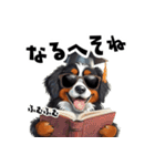 ロックで時々オネェなバーニーズ（個別スタンプ：30）