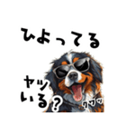 ロックで時々オネェなバーニーズ（個別スタンプ：33）