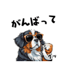 ロックで時々オネェなバーニーズ（個別スタンプ：38）