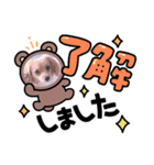マクベル2025夏（個別スタンプ：5）