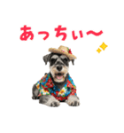 ミニチュアシュナの見やすい！夏スタンプ（個別スタンプ：10）