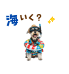 ミニチュアシュナの見やすい！夏スタンプ（個別スタンプ：26）