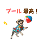 ミニチュアシュナの見やすい！夏スタンプ（個別スタンプ：27）