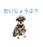 ミニチュアシュナの見やすい！夏スタンプ（個別スタンプ：36）