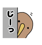 キーウィとメンダコの夏のデカ文字スタンプ（個別スタンプ：34）
