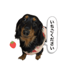 こめづかのおばさん（個別スタンプ：2）