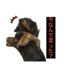 こめづかのおばさん（個別スタンプ：3）