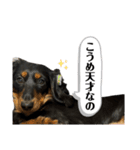 こめづかのおばさん（個別スタンプ：7）