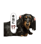 こめづかのおばさん（個別スタンプ：11）