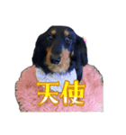 こめづかのおばさん（個別スタンプ：12）