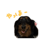 こめづかのおばさん（個別スタンプ：14）