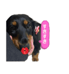 こめづかのおばさん（個別スタンプ：18）