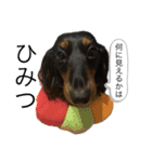 こめづかのおばさん（個別スタンプ：19）