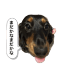 こめづかのおばさん（個別スタンプ：20）