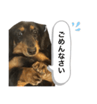 こめづかのおばさん（個別スタンプ：22）