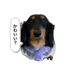 こめづかのおばさん（個別スタンプ：23）
