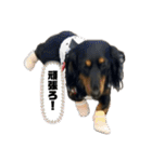 こめづかのおばさん（個別スタンプ：26）