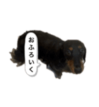 こめづかのおばさん（個別スタンプ：29）