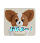カラフルパピヨンスタンプ（個別スタンプ：11）