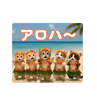夏のネコたちにゃんだふる～♪（個別スタンプ：1）