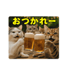 夏のネコたちにゃんだふる～♪（個別スタンプ：5）
