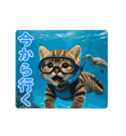 夏のネコたちにゃんだふる～♪（個別スタンプ：20）
