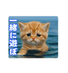 夏のネコたちにゃんだふる～♪（個別スタンプ：23）